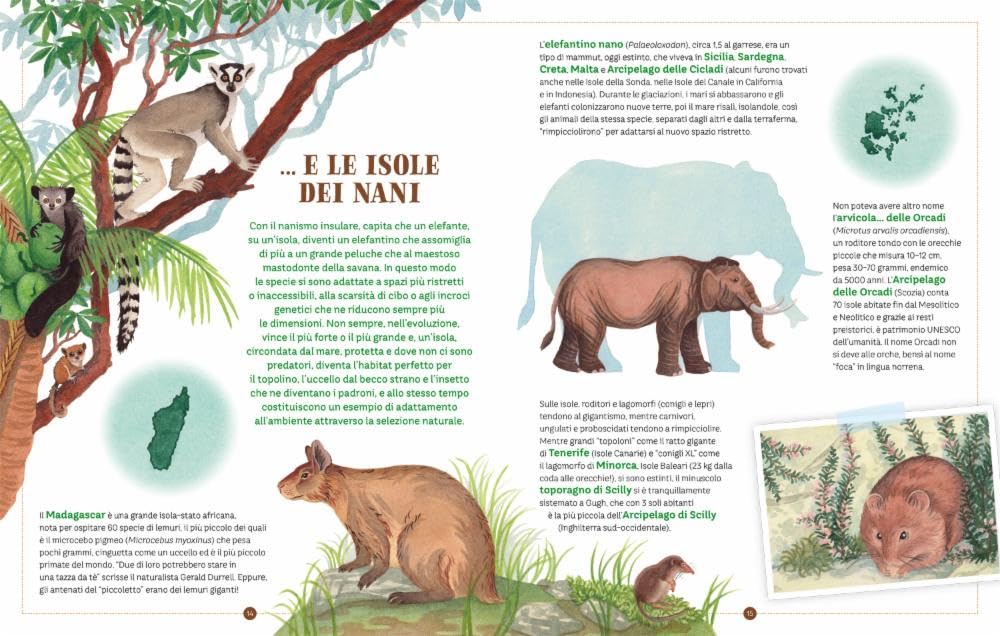 Un mondo di isole - Centroscuola