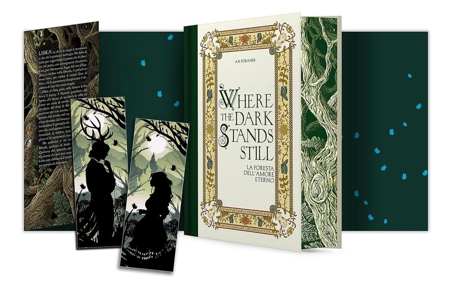 Where the dark stands still. La foresta dell'amore eterno - Centroscuola