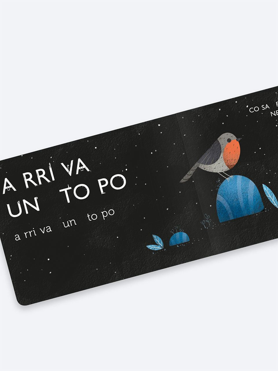 Pitti e la notte scura. primi voli in lettura - Centroscuola