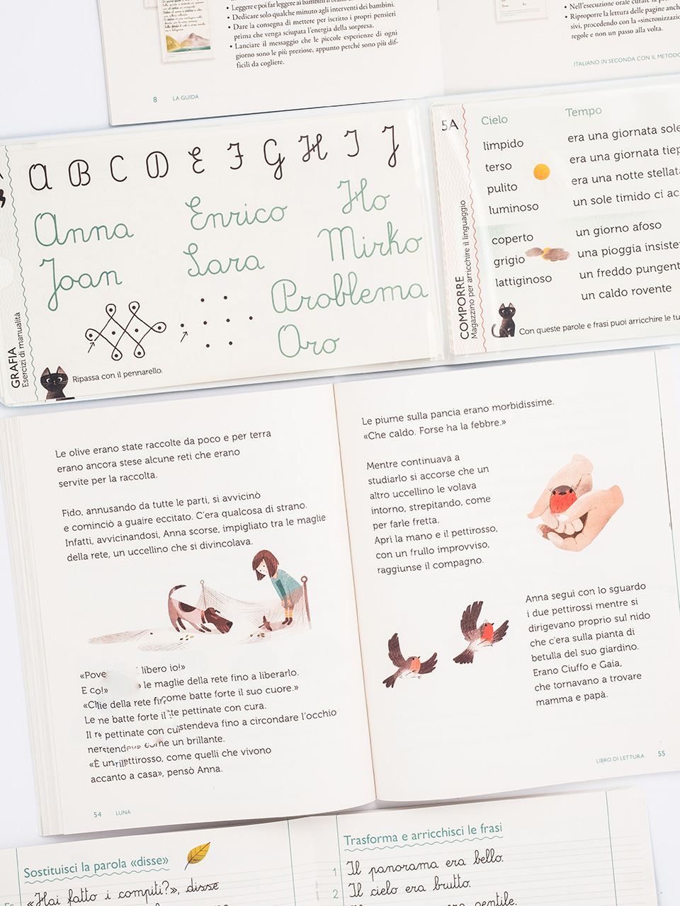 Italiano in seconda con il metodo analogico - Centroscuola