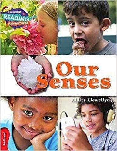 Our Senses - Centroscuola