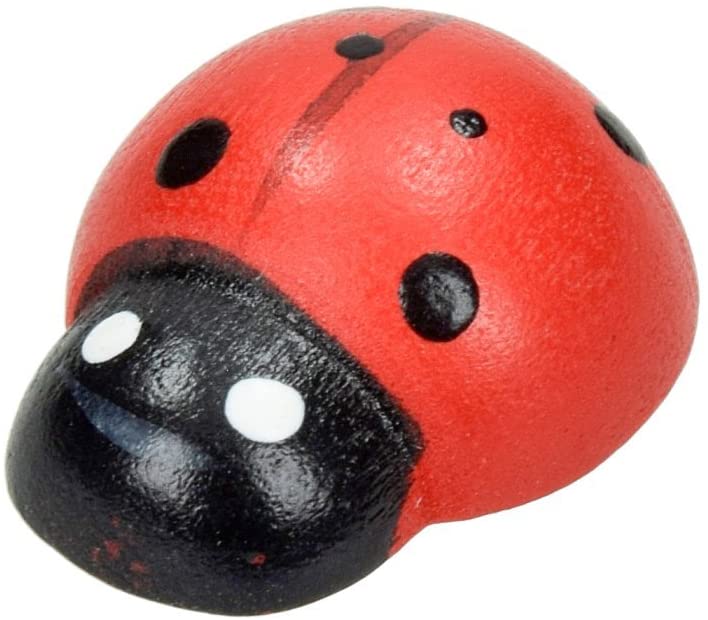 Coccinella in legno - Centroscuola
