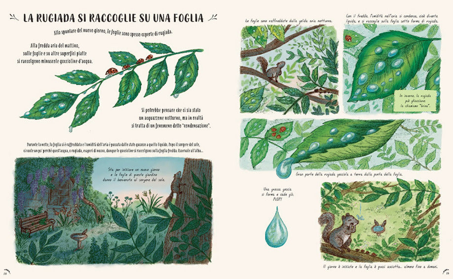 Piano piano... Osservare la natura per vivere senza fretta - Centroscuola