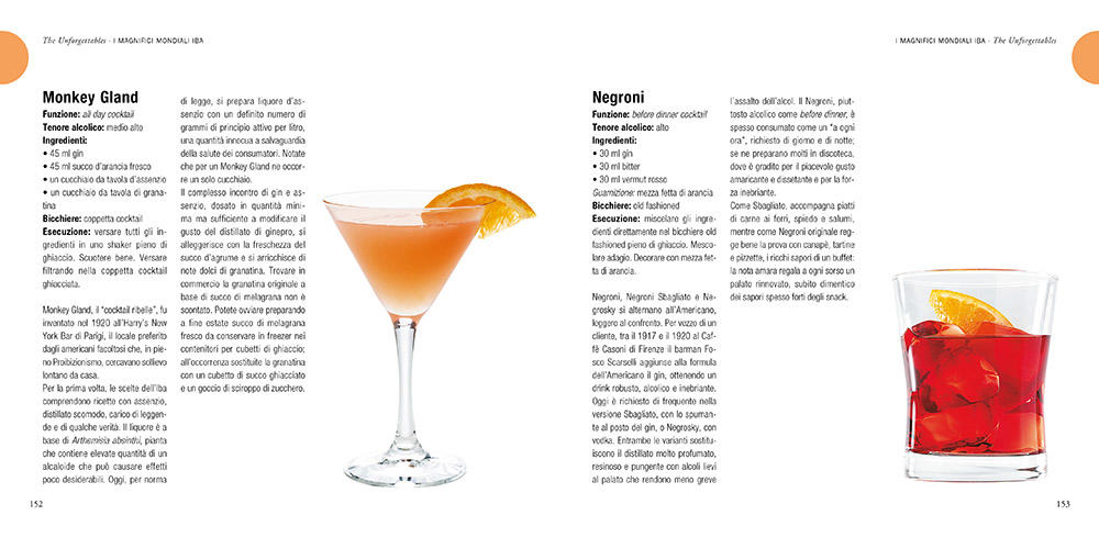 Manuale del barman - Centroscuola