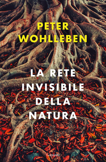 La rete invisibile della natura - Centroscuola