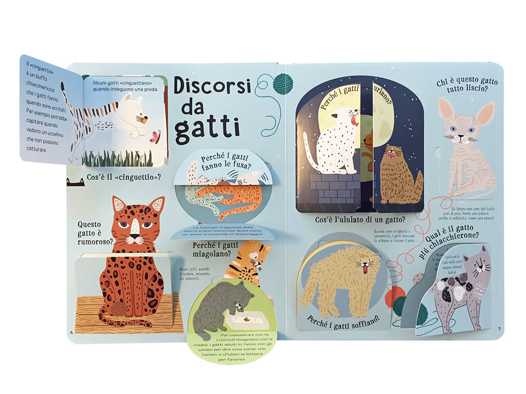 Matti per i gatti - Centroscuola