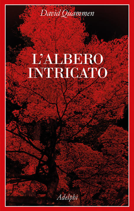 L'albero intricato - Centroscuola