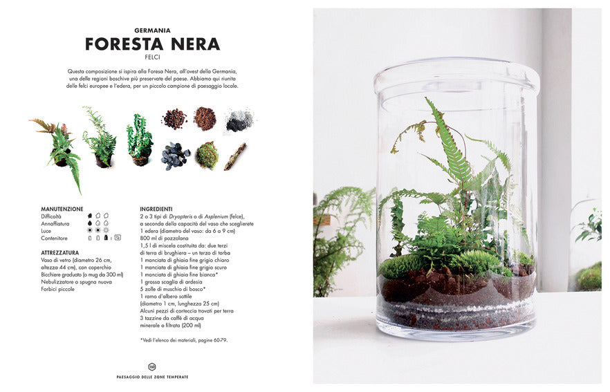 Terrarium. Mondi vegetali sotto vetro - Centroscuola