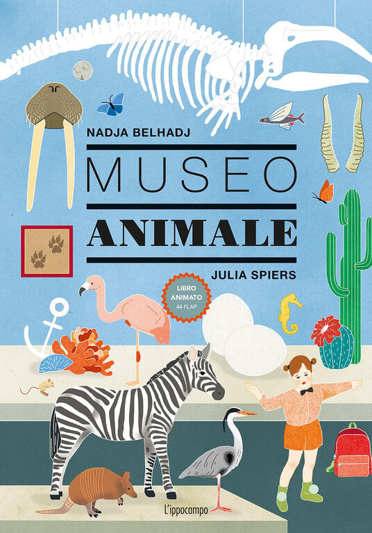 Museo animale - Centroscuola