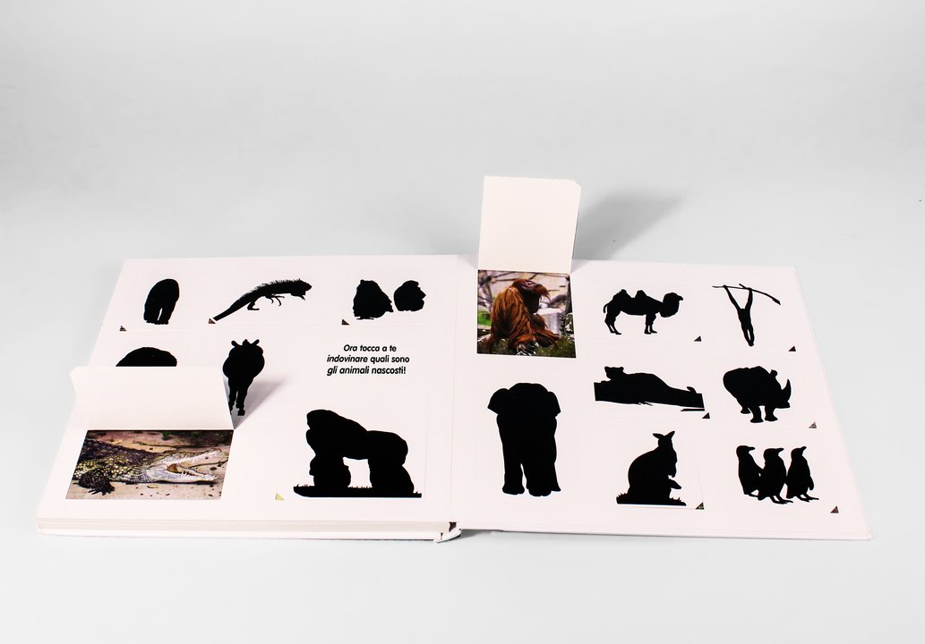 Gli animali selvaggi - Centroscuola