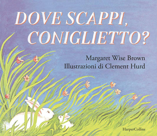 Dove scappi, coniglietto? - Centroscuola
