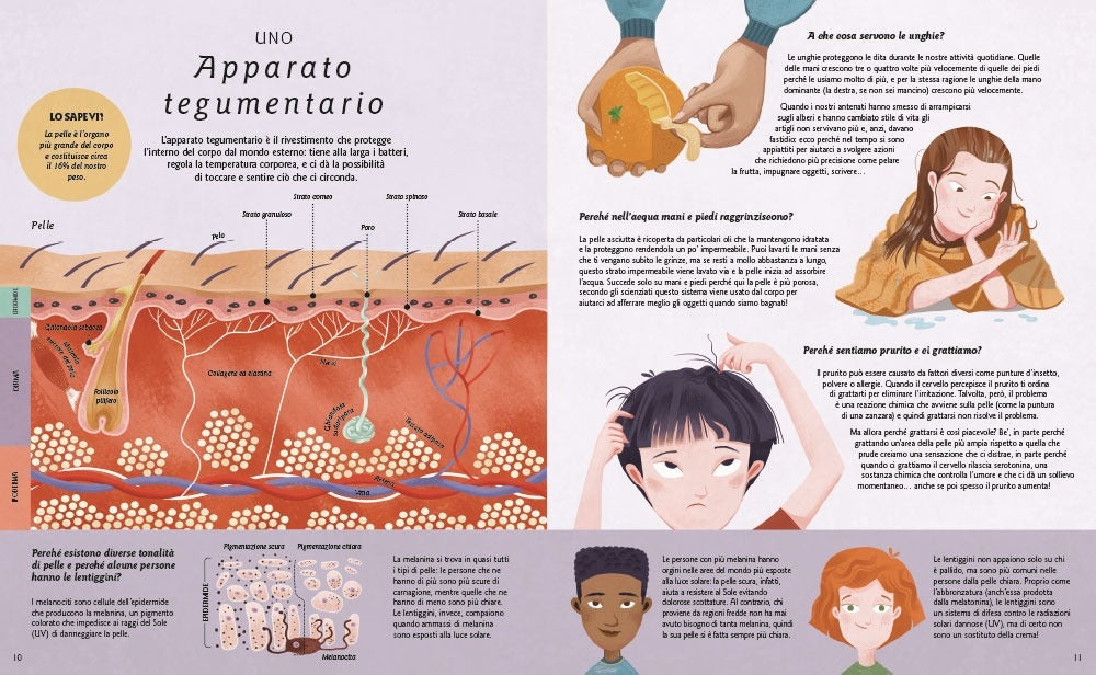 Ecco come funziona il corpo umano - Centroscuola