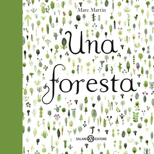 Una foresta - Centroscuola