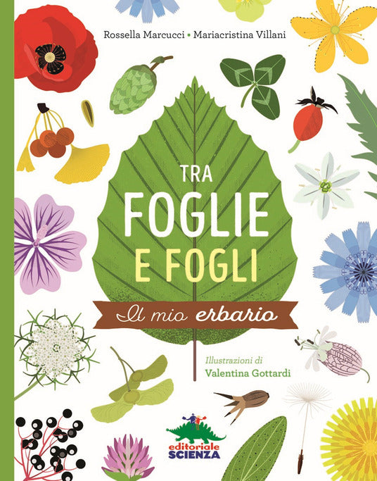 Tra foglie e fogli - Centroscuola
