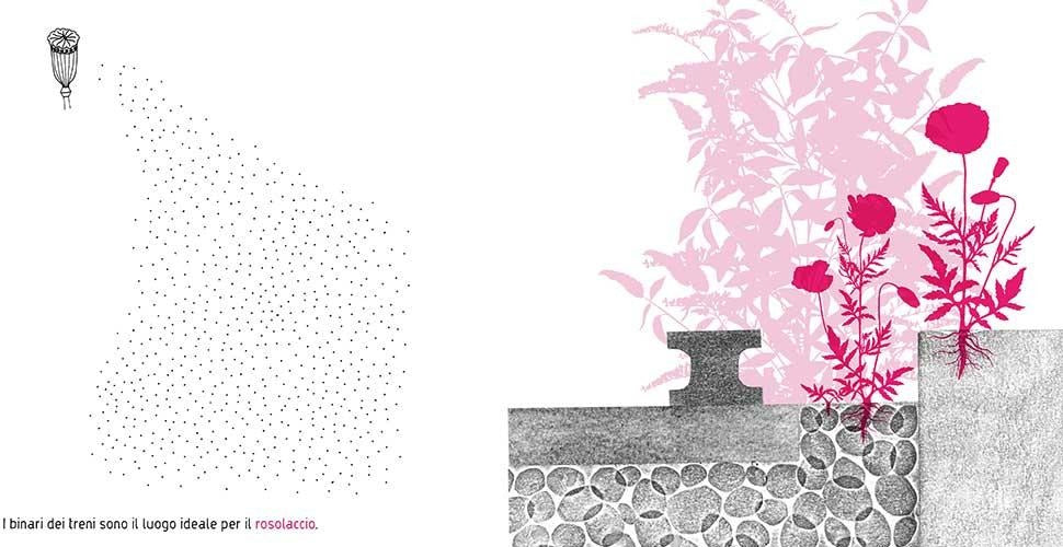 Vagabonde! Una guida pratica per piccoli esploratori botanici - Centroscuola