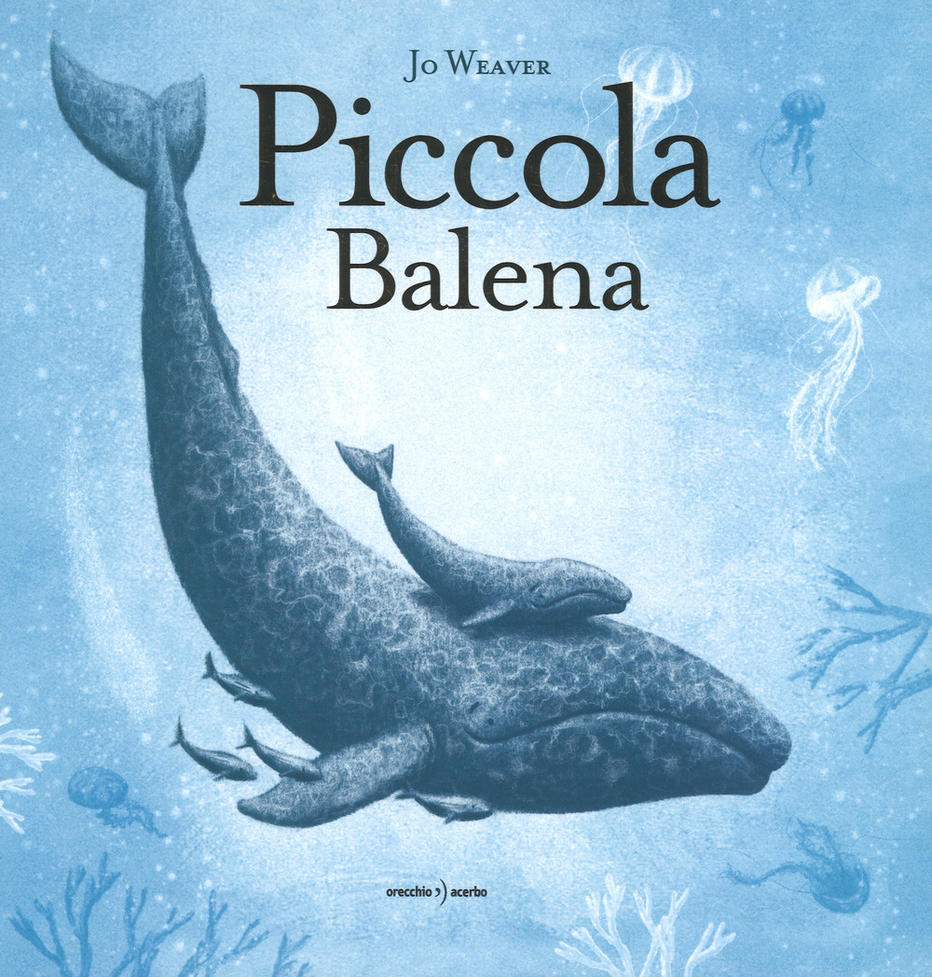 Piccola balena - Centroscuola