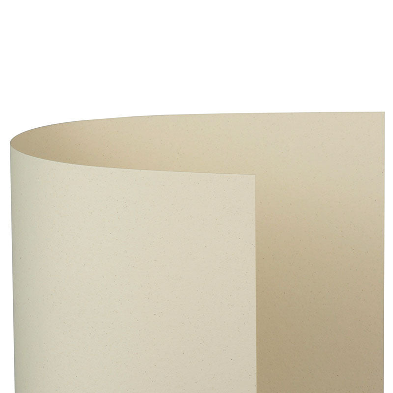 Calligraphy Nature Crush - Agrumi - Centroscuola