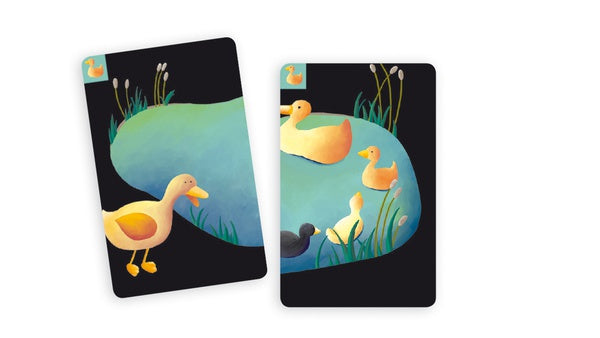 Gioco di carte - Mistigri - Centroscuola