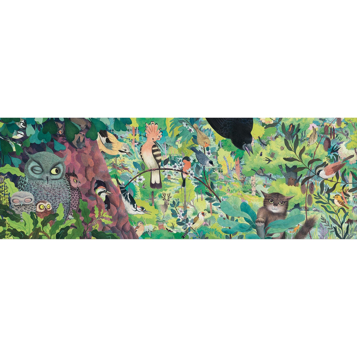 Puzzle Gallery - Owls and Birds 1000pz - Centroscuola