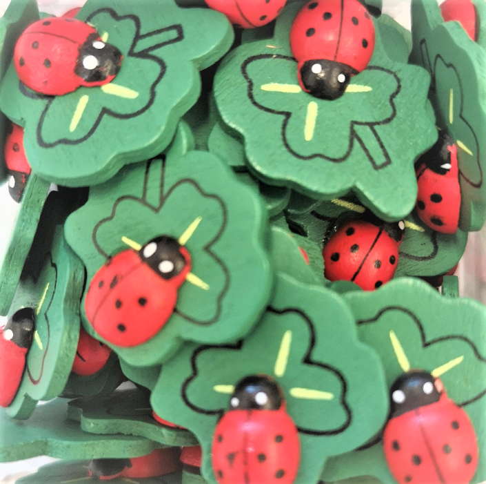 Quadrifoglio con coccinella - Centroscuola