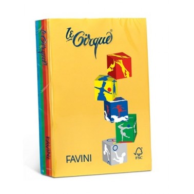 Carta da fotocopie A4 5 colori 80gr 500 fogli - Centroscuola