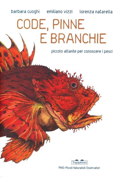 Code, pinne e branchie - Centroscuola