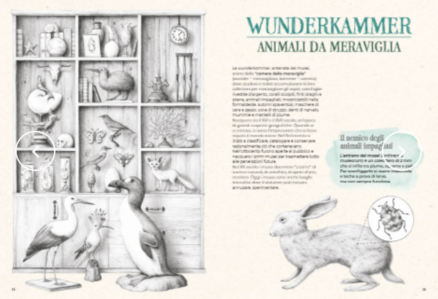 Estintopedia - Centroscuola