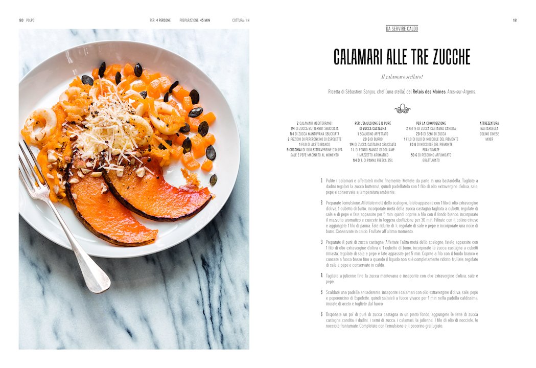 Polpo - Centroscuola