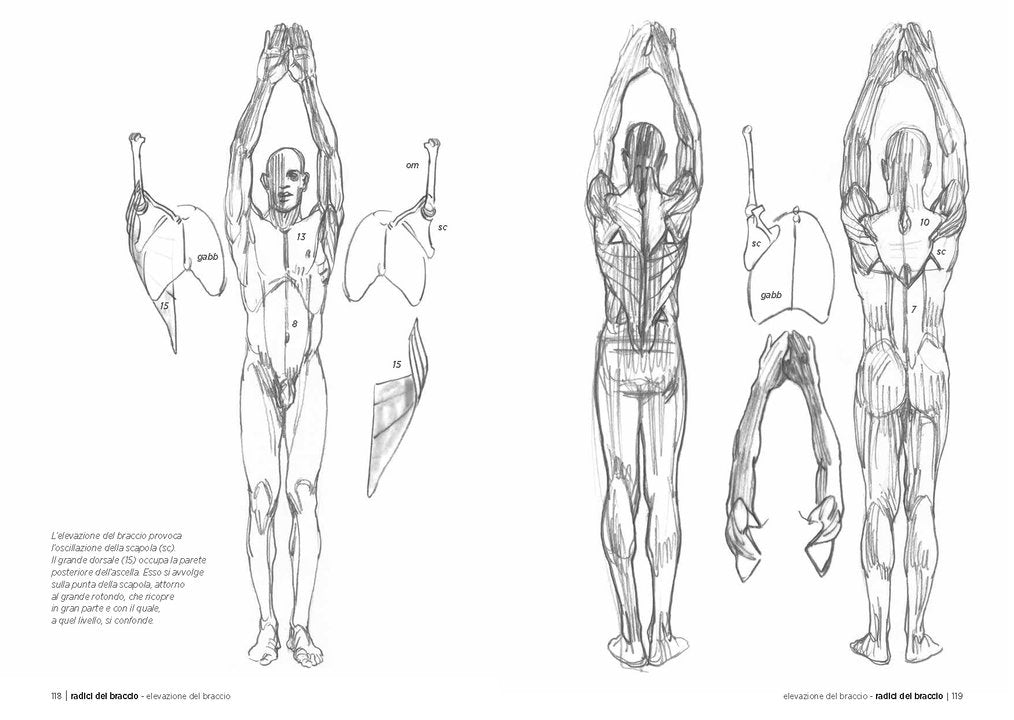 Anatomia artistica. Carnet di morfologia - Centroscuola