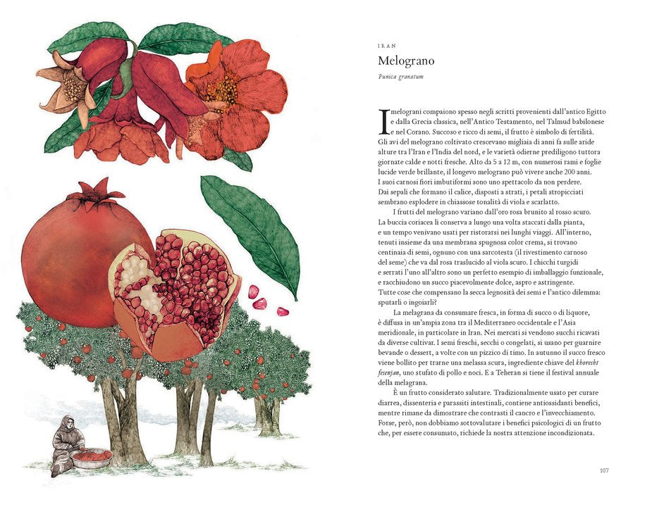 Il giro del mondo in 80 alberi - Centroscuola