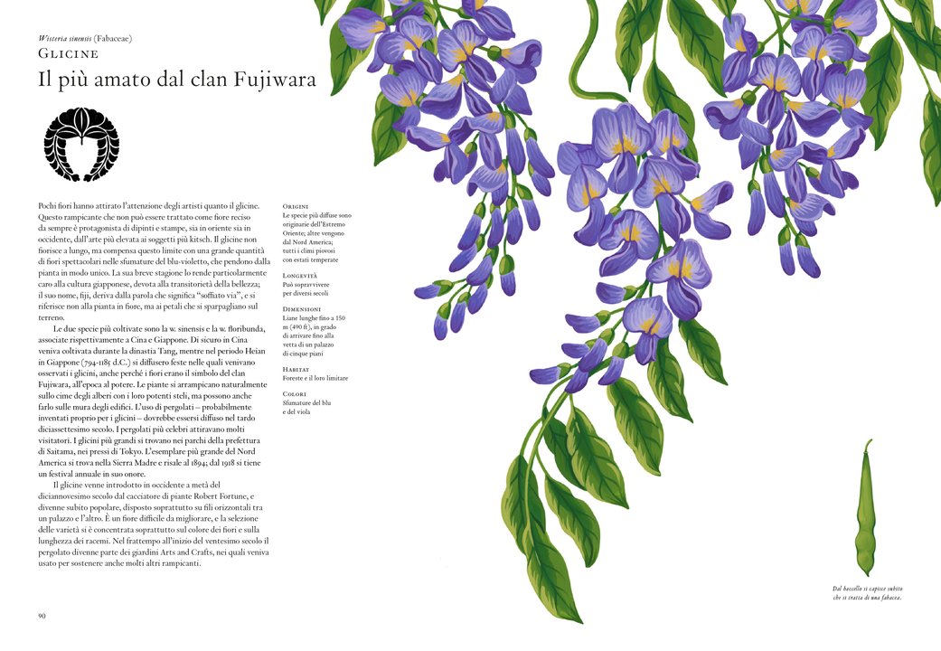 La storia dei fiori - Centroscuola