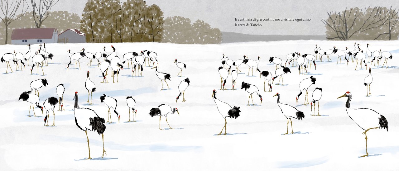 Tancho - Centroscuola