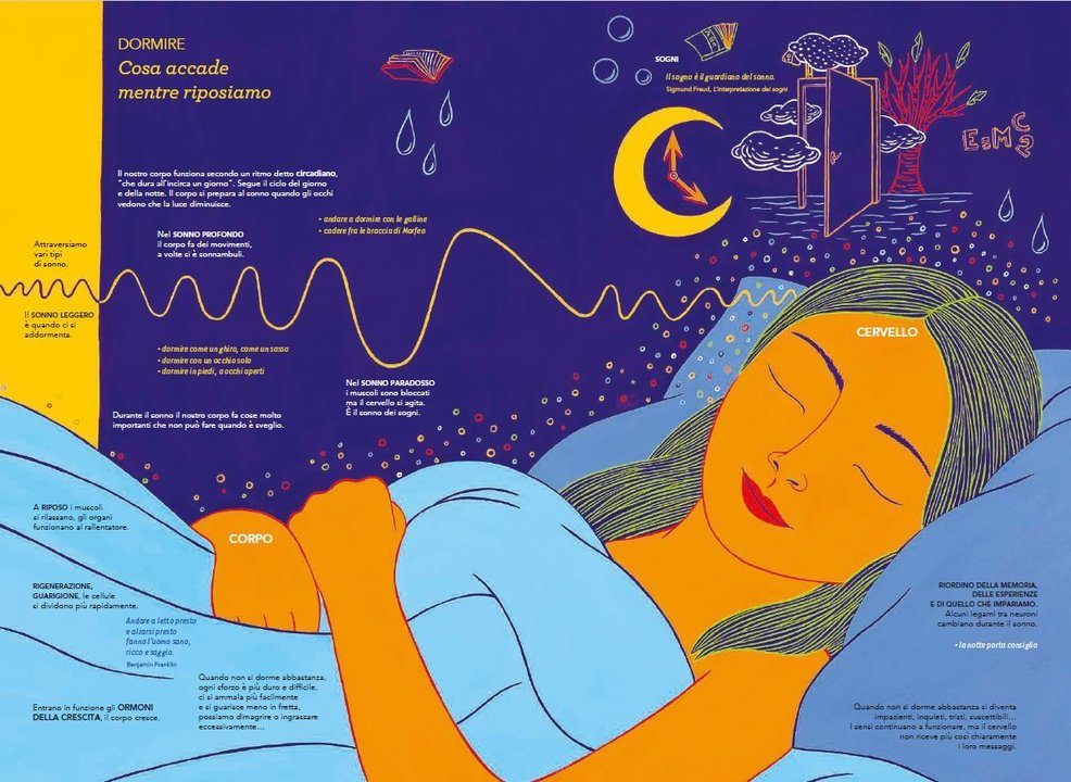 Esplora il tuo corpo - Centroscuola