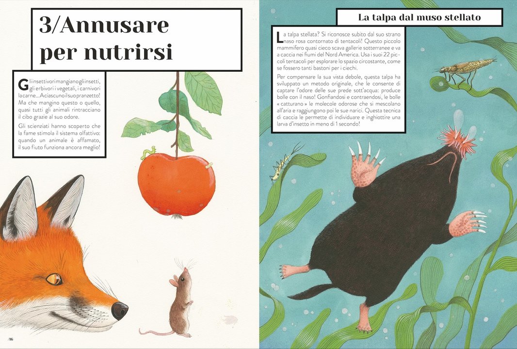 Zoodorato. Come sentono gli animali - Centroscuola