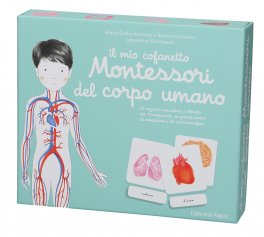 Il mio cofanetto montessori del corpo umano - Centroscuola
