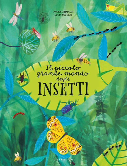 Il piccolo grande mondo degli insetti - Centroscuola