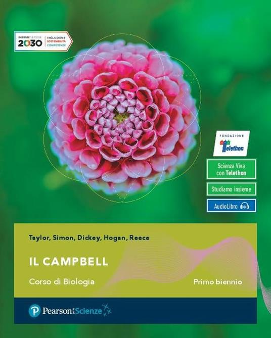 Il Campbell - Centroscuola