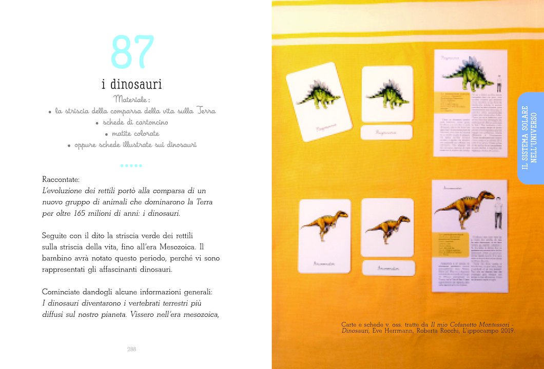 La guida di attività Montessori 6-12 anni - Centroscuola