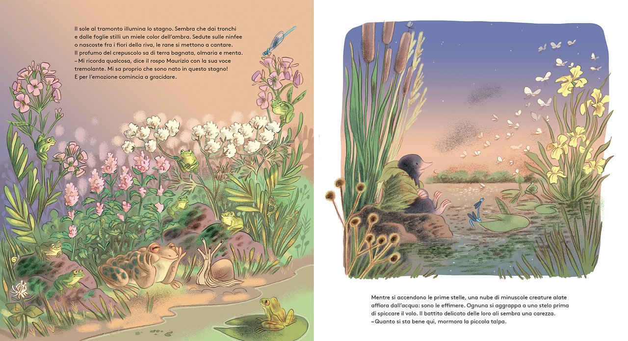 Magda e il piccolo mondo dello stagno - Centroscuola