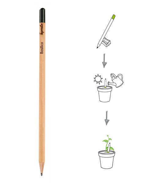 Matita Piantabile - Centroscuola