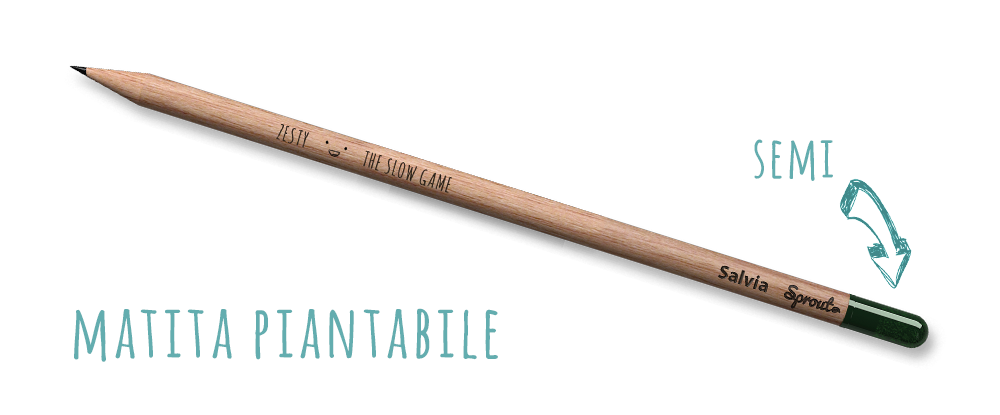 Zesty – The slow game - Centroscuola