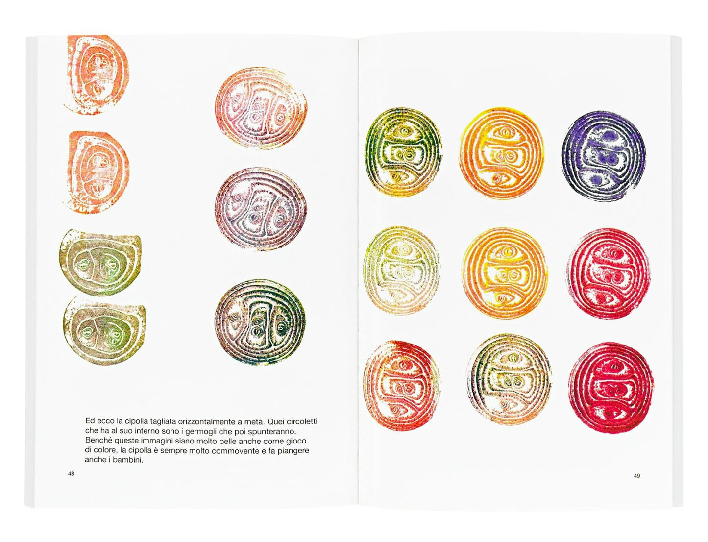 Rose nell'insalata - Centroscuola