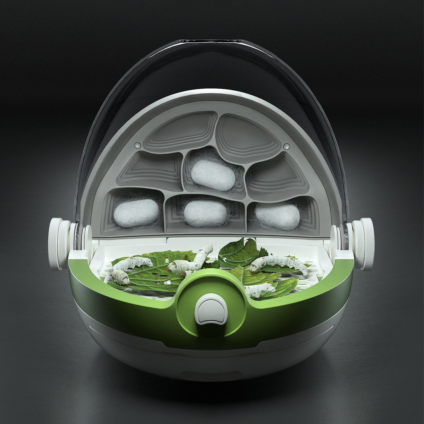 Stazione per la coltivazione di insetti - Centroscuola