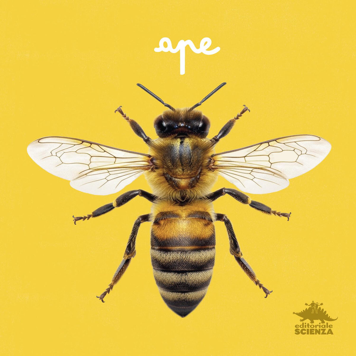 Ape – Micol Doria – Editoriale Scienza