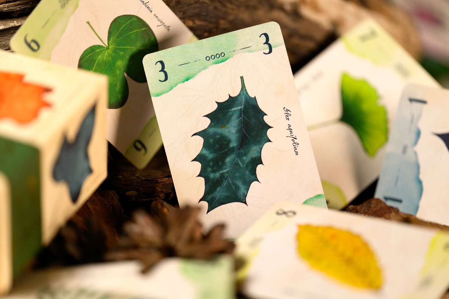 13 Foglie - Centroscuola