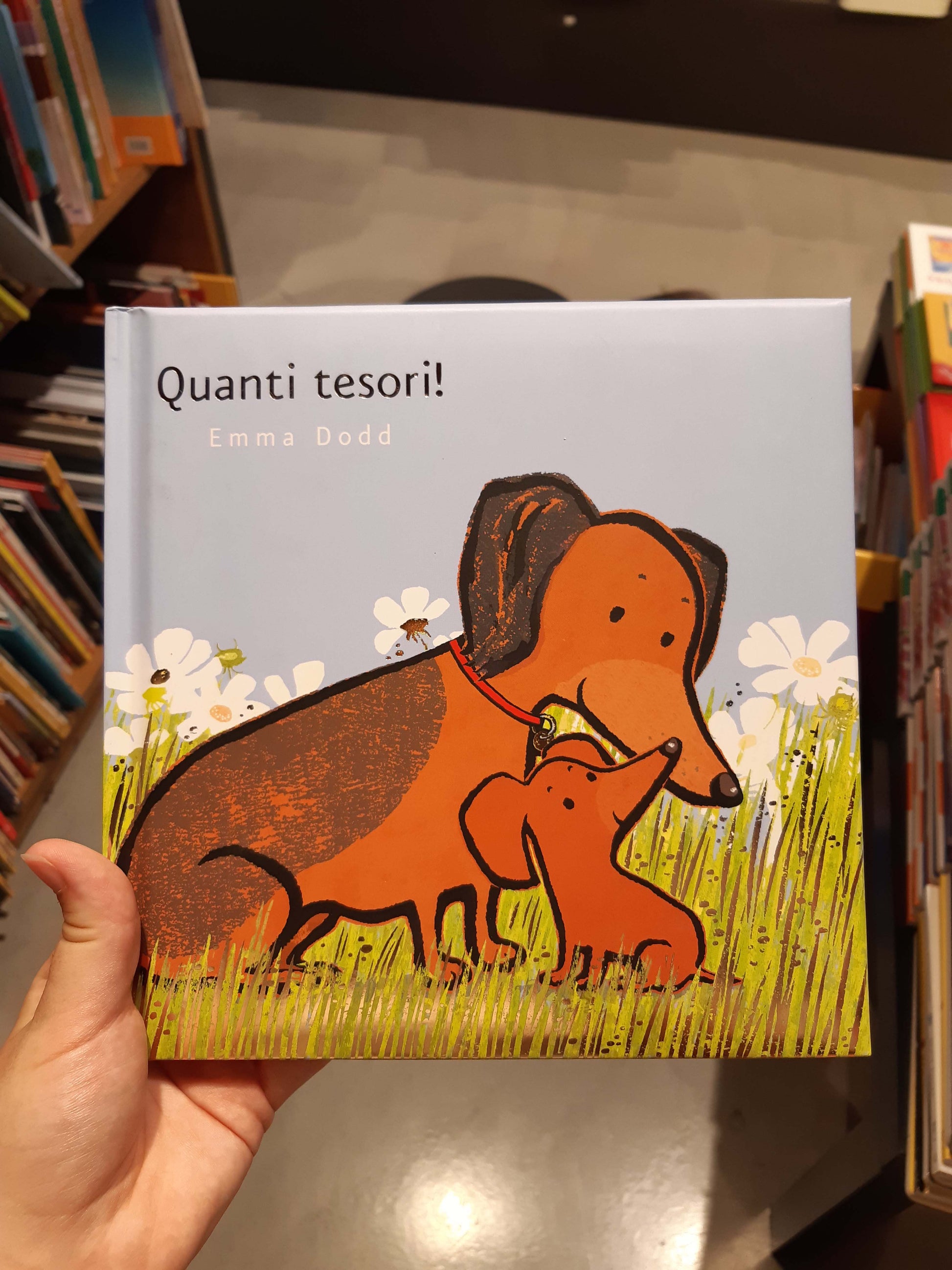 Quanti tesori! - Emma Dodd - L'Ippocampo - pagina interna
