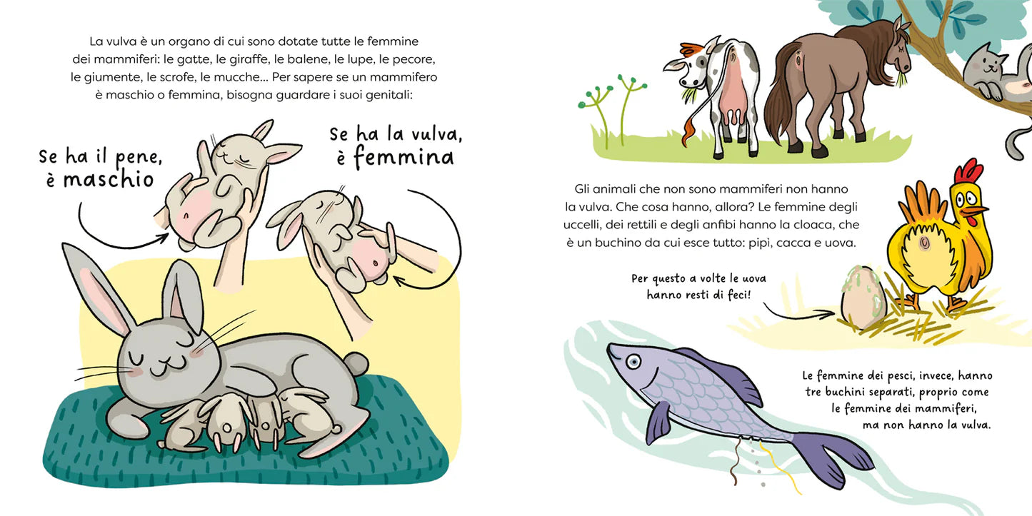 Farfallina? Si chiama vulva!