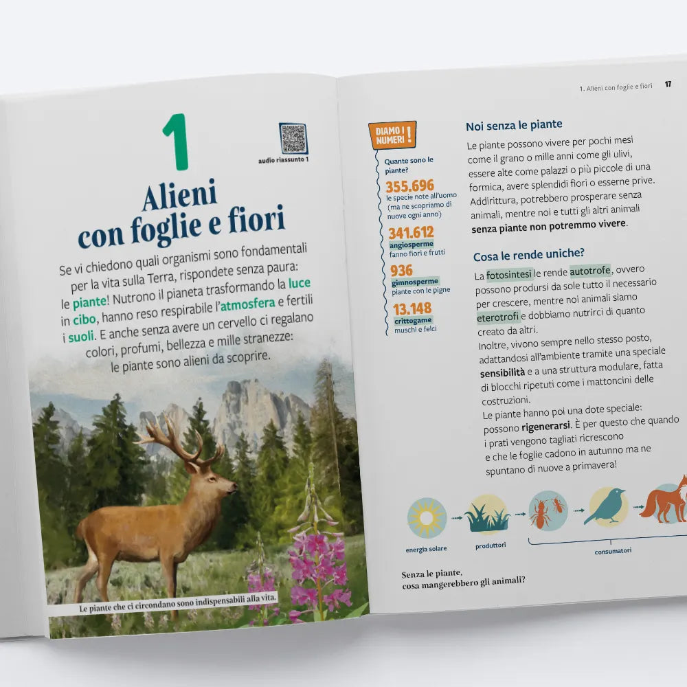 100 pagine sulle piante - Centroscuola