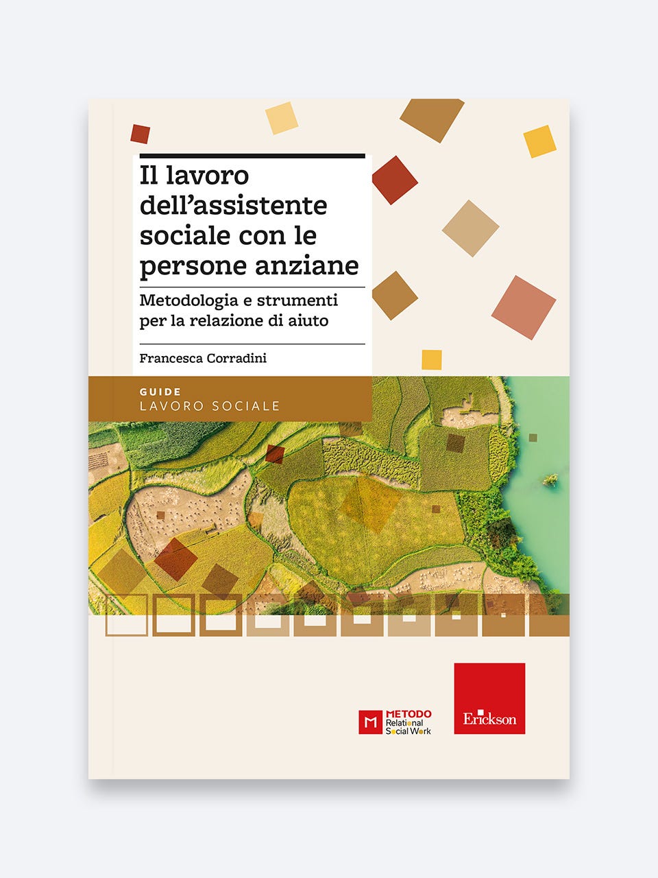 Il lavoro dell'assistente sociale con le persone anziane - Erickson