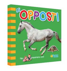 Gli opposti - Raffaello